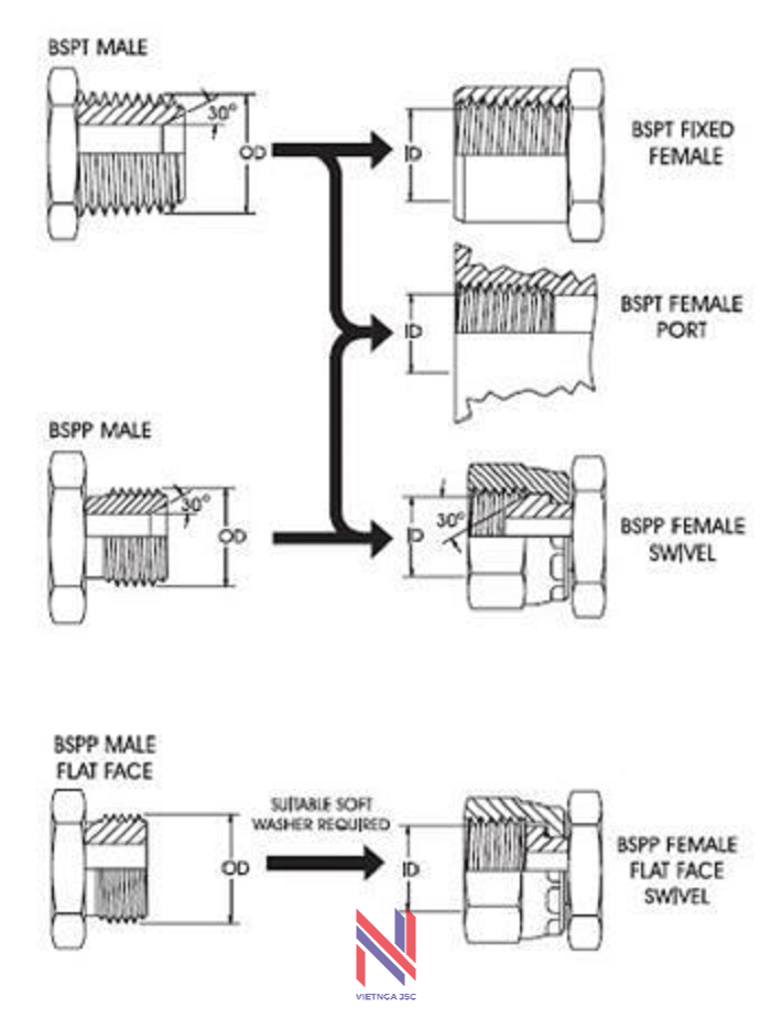 1 - Hệ ren BSPT & BSPP Cách phân biệt các hệ Ren của đầu nối ống mềm thủy lực