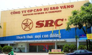 CTCP CAO SU SAO VÀNG | Khách hàng lớn của Việt Nga JSC